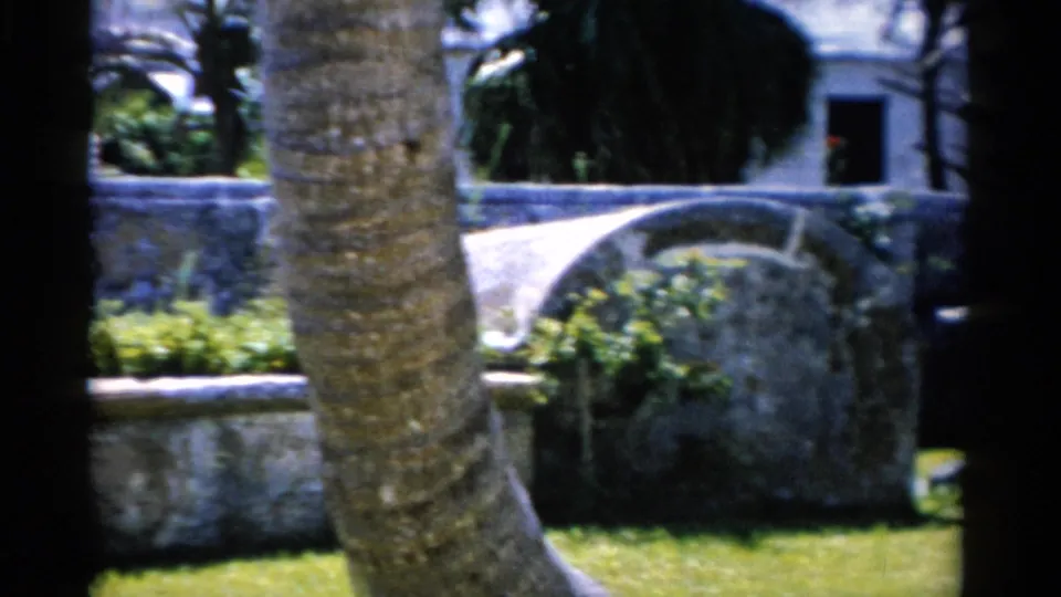 1975 Florida 8mm frame with a palm trunk foregrounding a stone cemetery wall, garden bed, lawn, and white building.