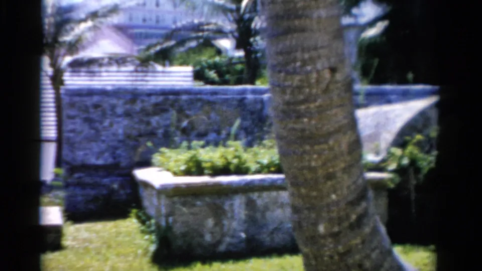 1975 Florida home-movie frame showing a palm trunk beside a stone wall, planter, lawn, steps, and white building.