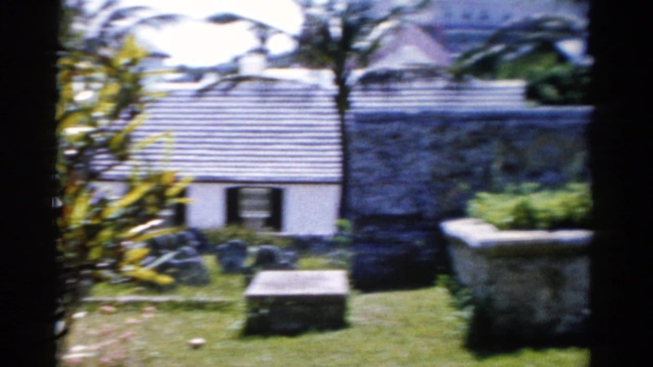 Soft 8mm view of gravestones, grass, palms, and a small white building beyond a cemetery path.
