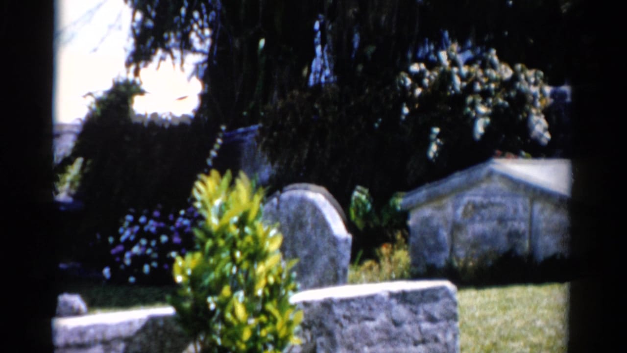 Weathered gravestones among bright greenery and trees.