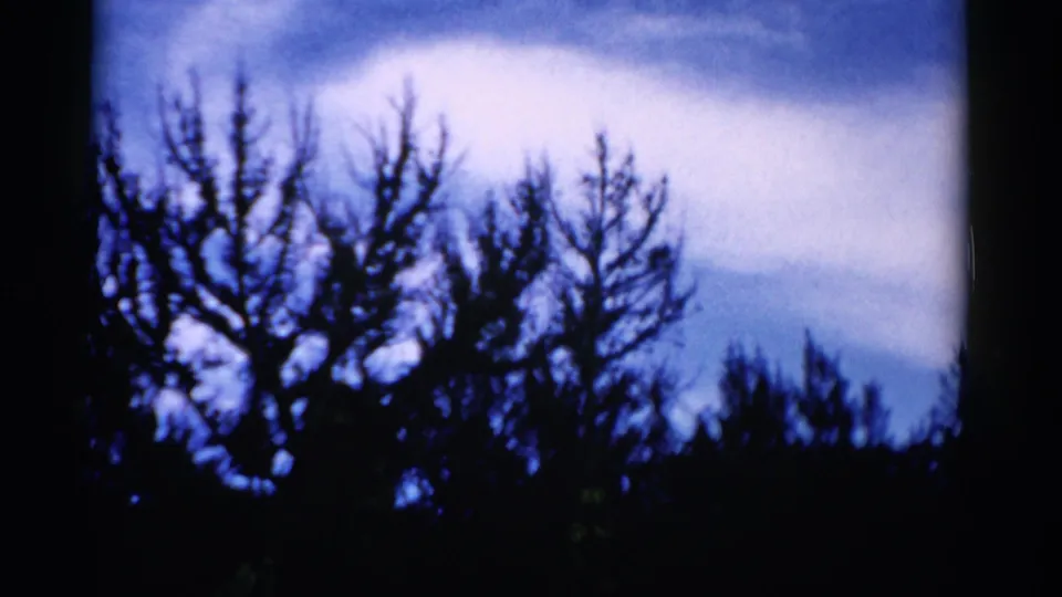 1975 Florida 8mm frame showing silhouetted bare branches and darker treetops against a clouded blue sky.