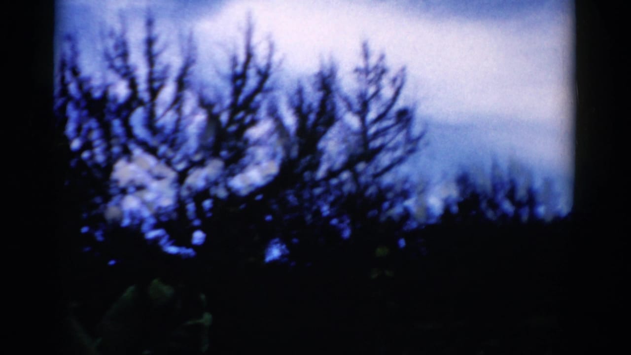 Bare tree silhouettes against a blue cloudy sky with dark foreground shapes.