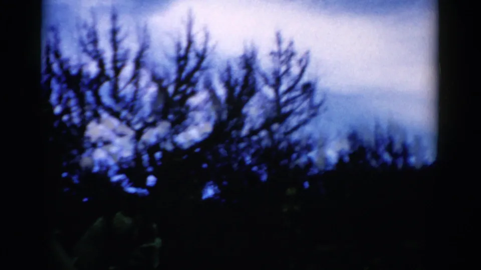 1975 Florida 8mm frame showing dark tree silhouettes beneath a blue overcast sky, with indistinct foreground forms.