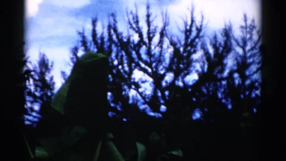1975 Florida 8mm frame with a dark hooded person in the foreground before silhouetted trees and a blue cloudy sky.