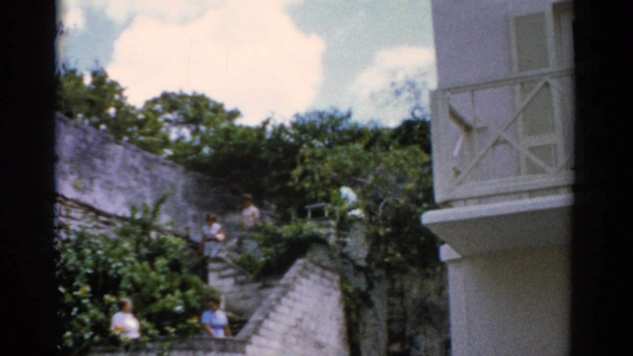 Adults on a stone staircase beside greenery and a white stucco structure.