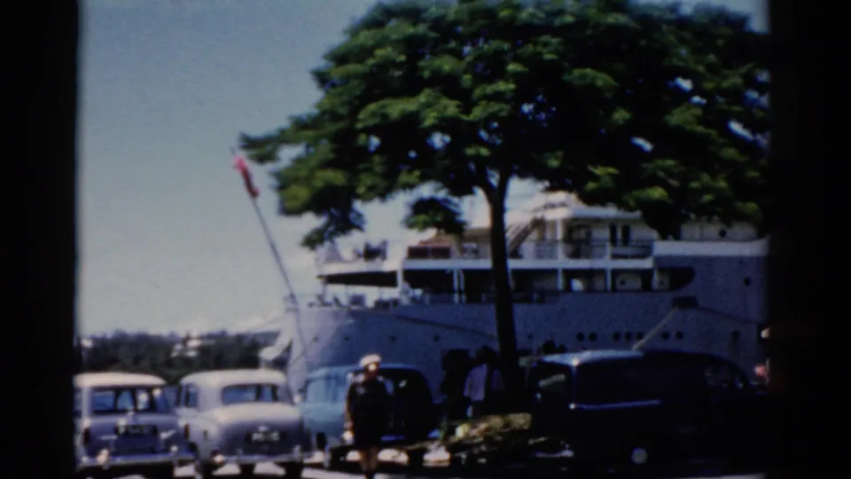 1975 Florida waterfront view with a docked white ship, vintage cars, pedestrians, and a large roadside tree.