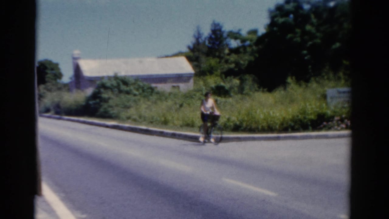 Woman on a bicycle approaches along the right side of a sunny road bordered by grass and trees.