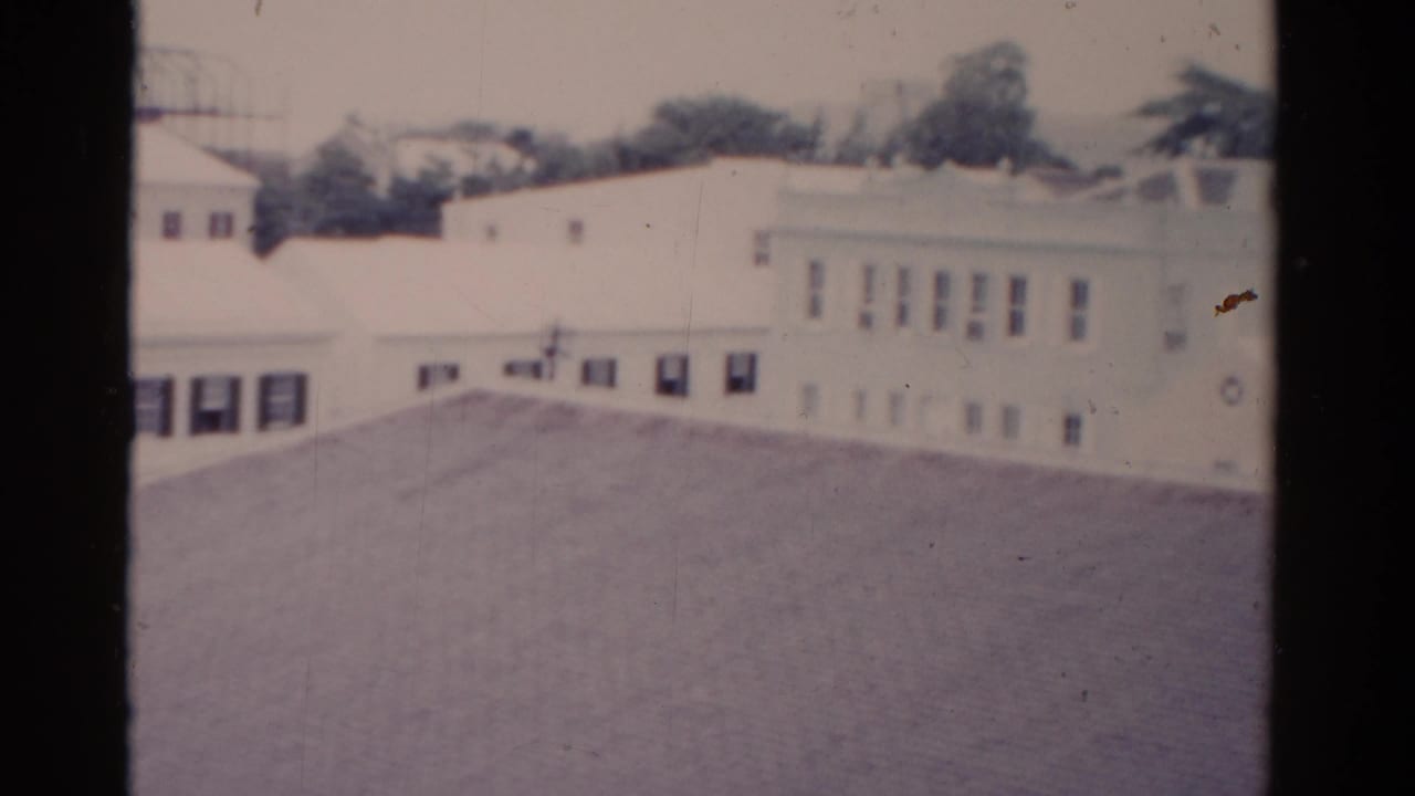 Elevated view over a broad roof toward pale low-rise buildings and trees.