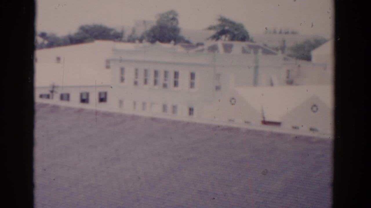 Pale building facades and rooftops seen from above with trees behind them.