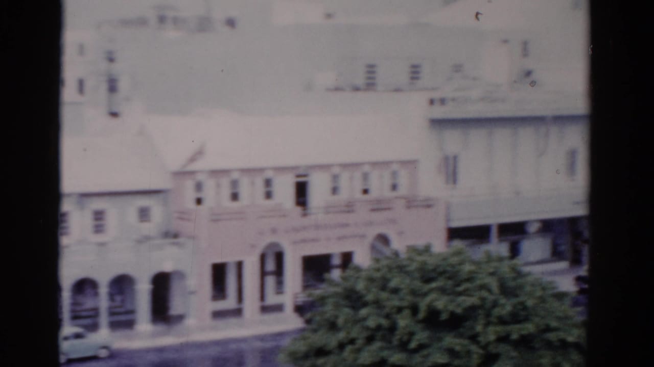 Elevated view of white commercial buildings, street trees, and cars along a road.