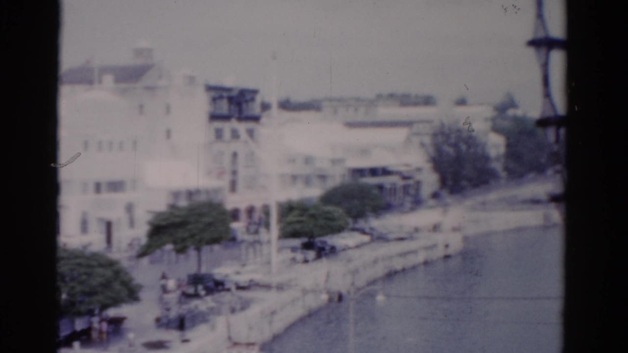 Harbor view with waterfront buildings, trees, street traffic, and water in the foreground.