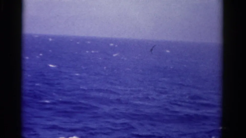 1975 Florida 8mm frame with a hazy horizon over blue open water and small whitecaps across the surface.