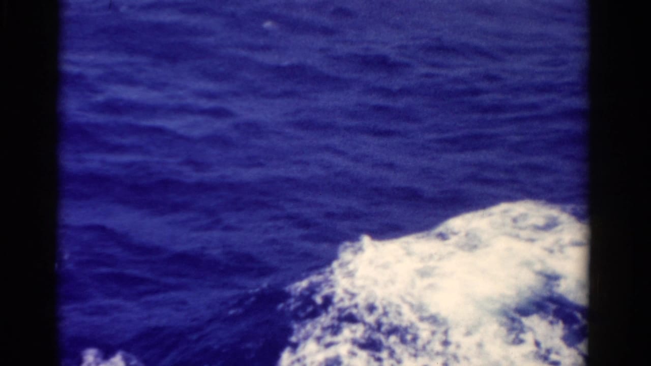 Blue ocean water with a bright white foamy wake entering from the right.