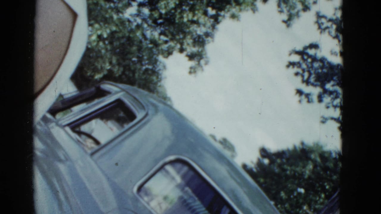 Tilted view of a parked car beside trees near a lake.