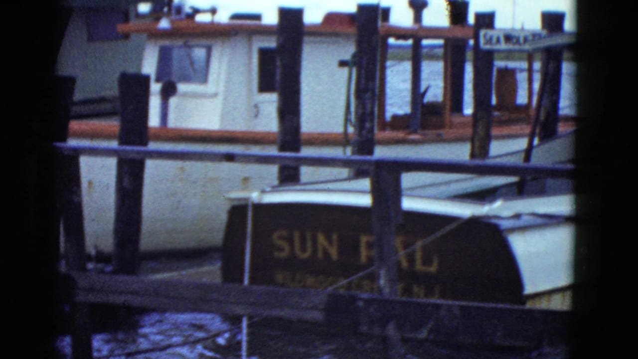 Moored boats and dock pilings with a partially visible SUN PAL sign.