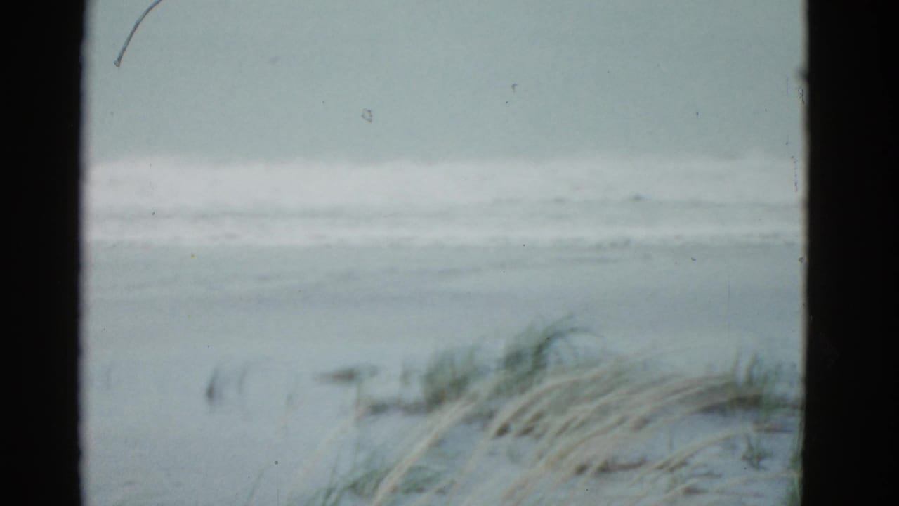 Soft-focus beach with dune grass in the foreground and pale waves beyond.