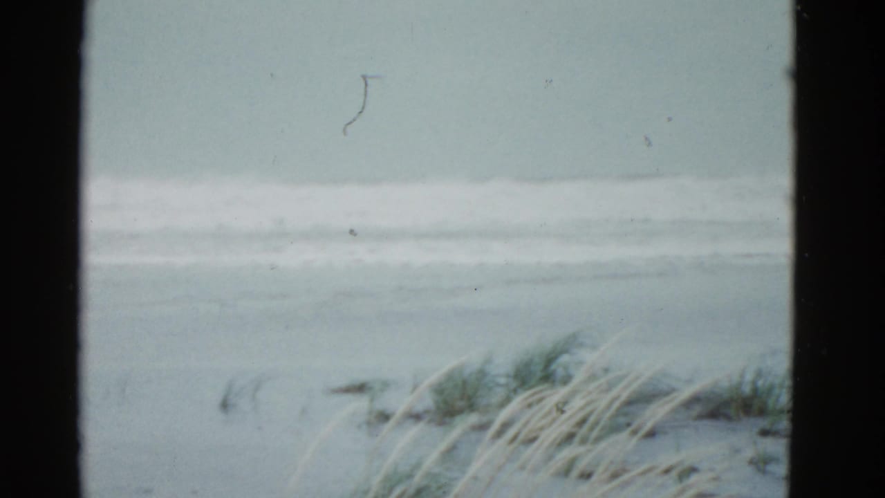 Boston, Massachusetts 1975 home-movie frame with beach grass in the foreground and a quiet ocean line beyond.