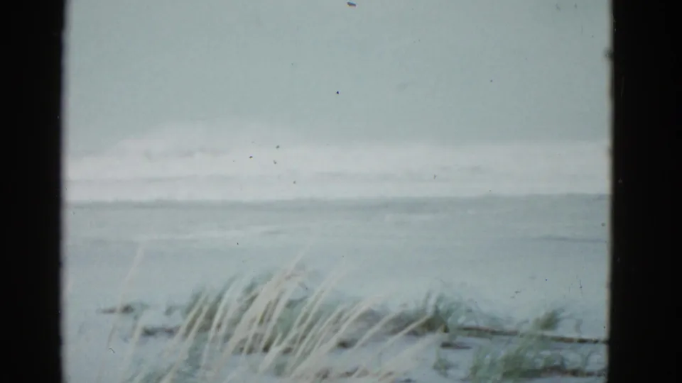 1975 Boston-area coastal frame showing beach grass bending in wind as gray waves break near shore.