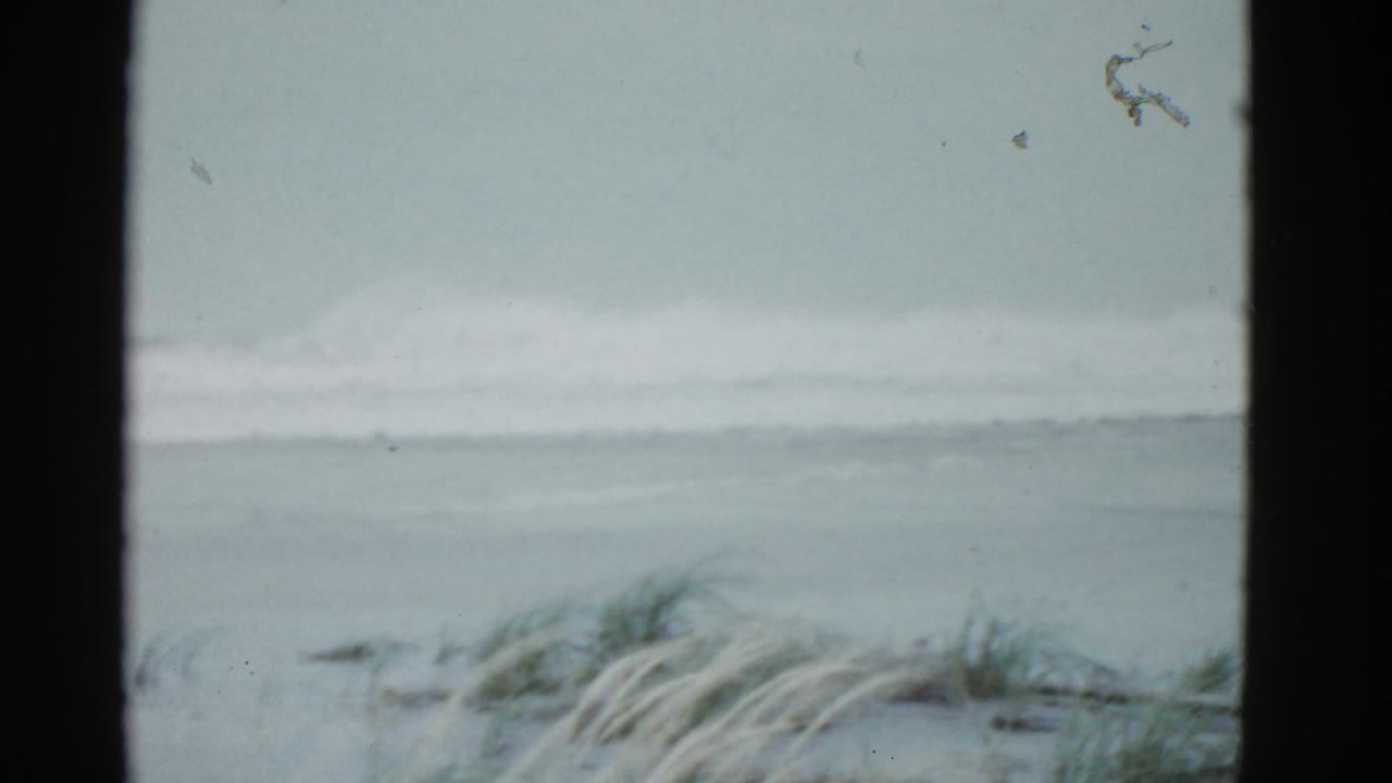 Gray ocean surf beyond wind-blown beach grass, seen through dark vertical frame edges.