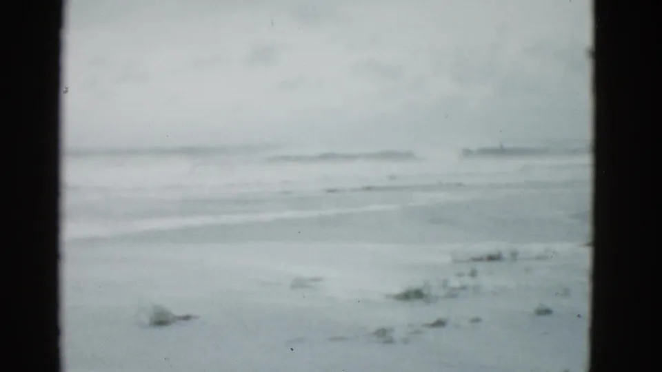 Soft 8mm frame of a deserted Massachusetts shoreline, showing pale surf, gray sky, and scattered beach vegetation or debris.