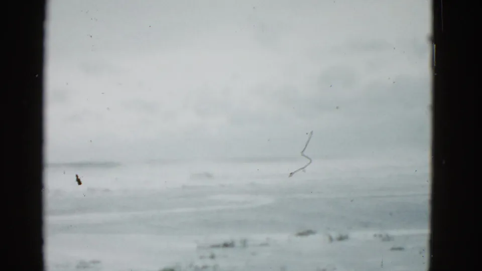1975 Boston-area 8mm still of a broad frozen lake, soft horizon, gray sky, and prominent scan dust and scratches.