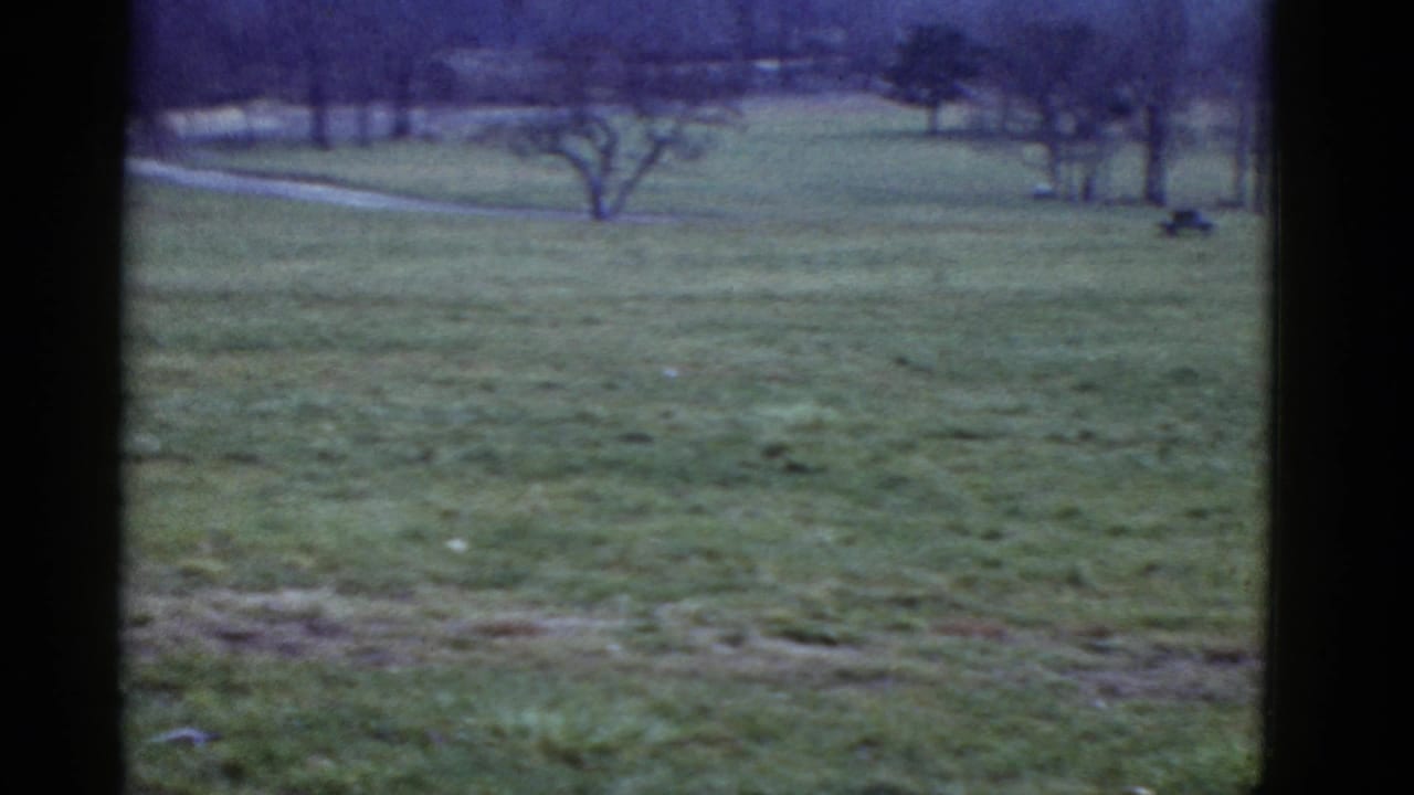 Grassy field with leafless trees and distant parkland, before runners enter the frame.
