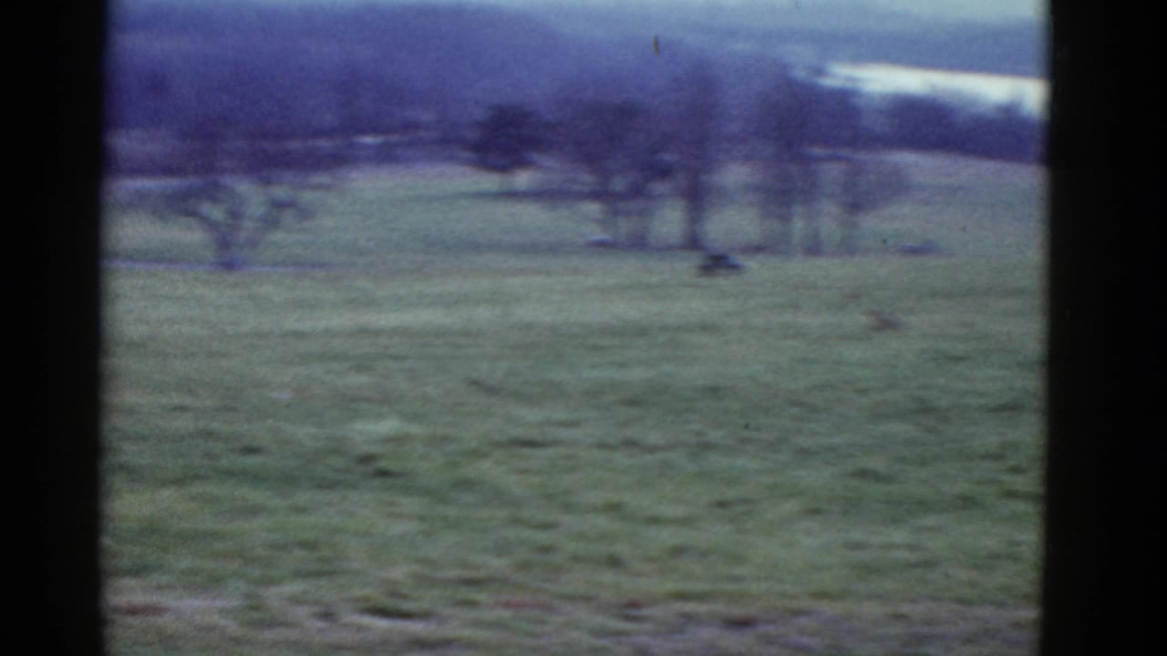 Soft 8mm view of an open Boston-area field during the race, with bare trees and a distant runner or spectator visible.