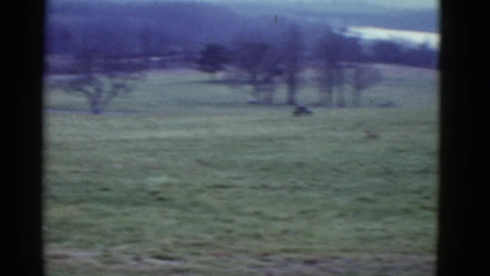 Soft 8mm view of an open Boston-area field during the race, with bare trees and a distant runner or spectator visible.