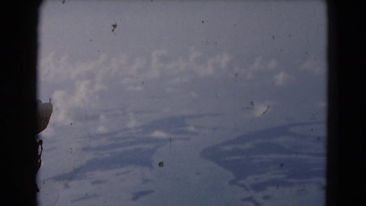 Soft 8mm frame from the Florida clip with overcast sky, dust marks, and indistinct shapes seen before the street view appears.