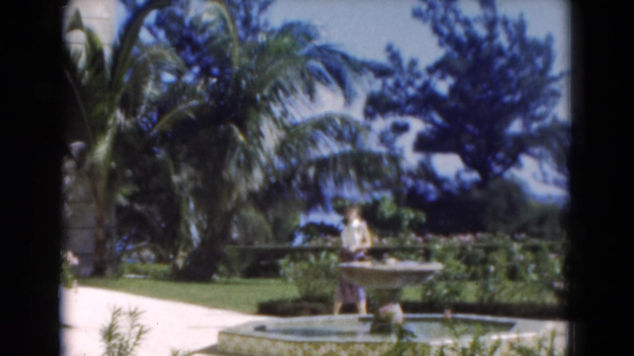 Woman standing near a stone fountain in a tropical garden with palms and lawn.