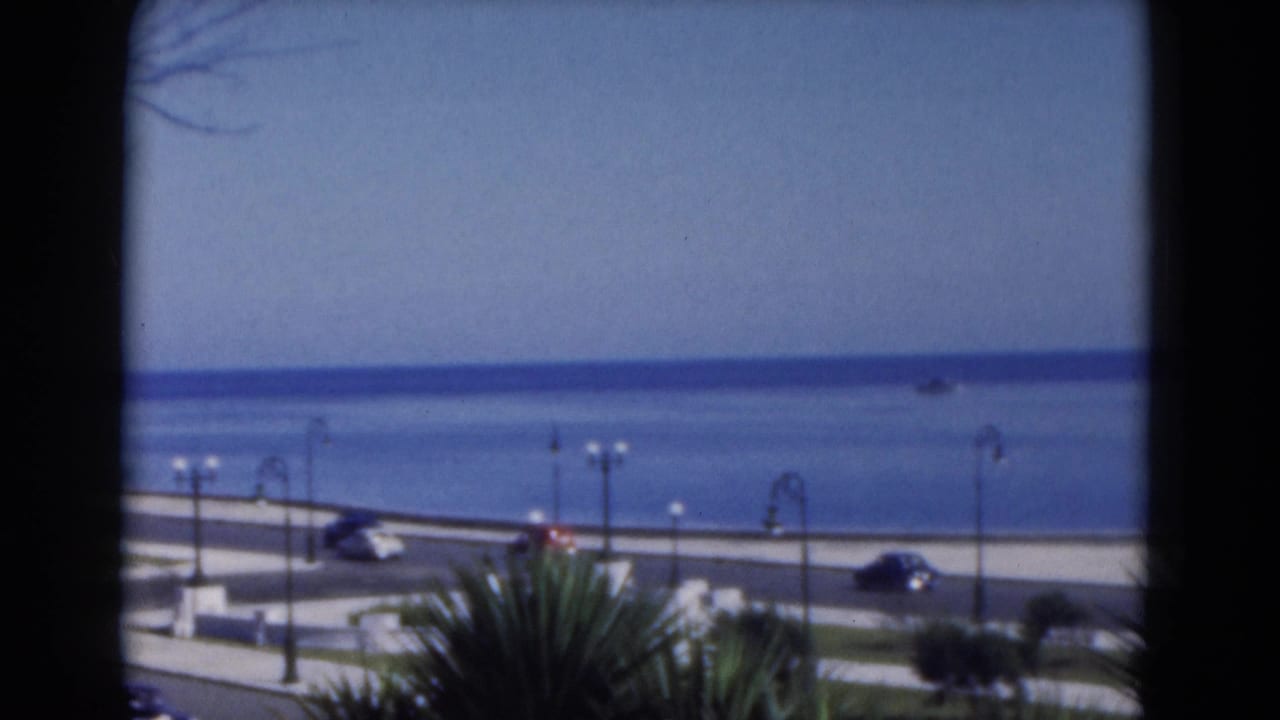 Elevated view of cars on a waterfront road with blue water, street lamps, and palm plants.