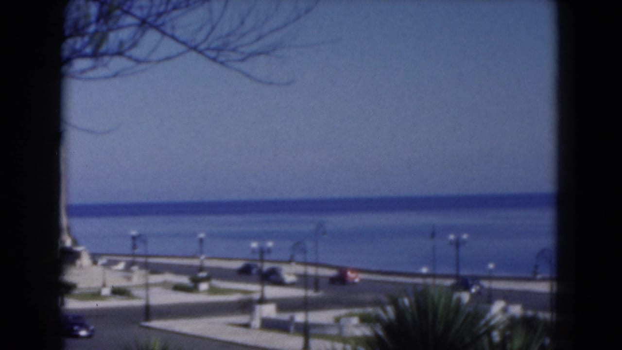 Waterfront road with cars, lamps, palms, and bare branches crossing the top of the frame.