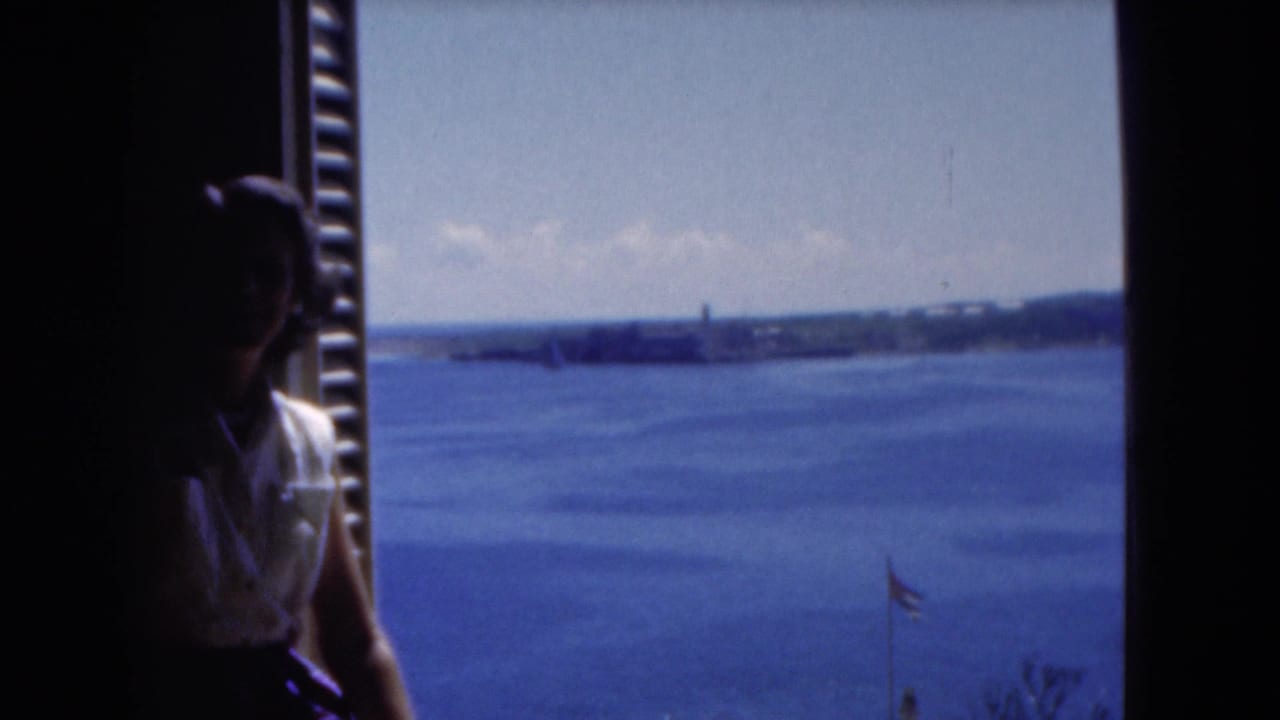 A woman remains partly silhouetted beside a window, with Florida water, shoreline, and a small flag visible outside.