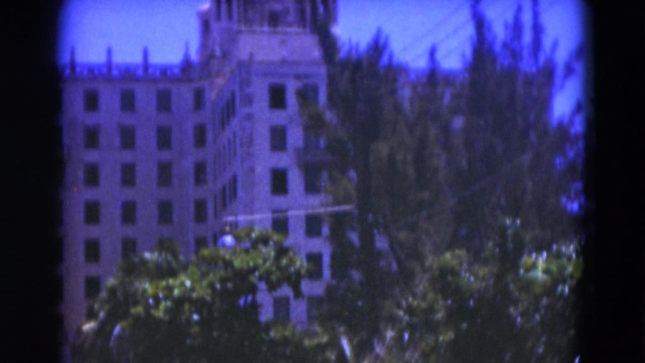 Tall building facade partly hidden by trees.