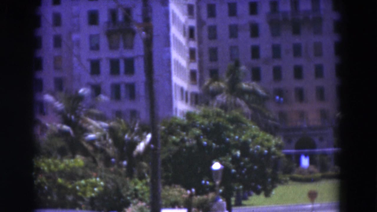 White multi-story building behind palm trees and a manicured courtyard.