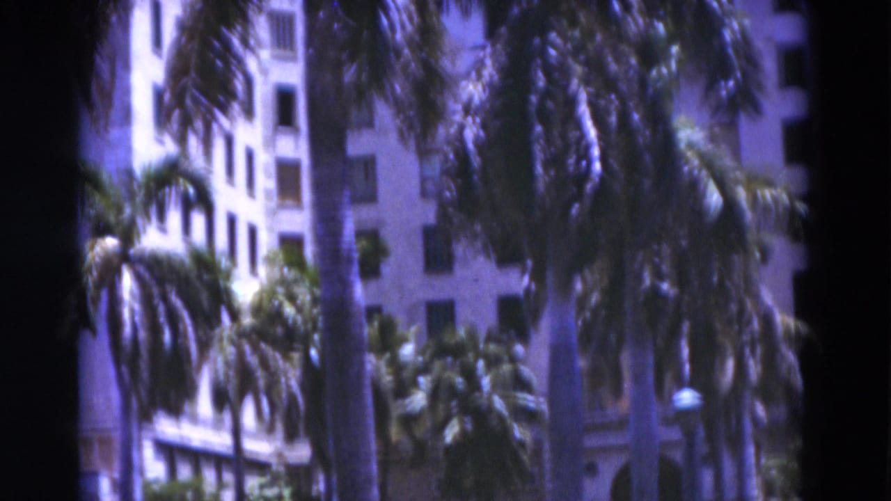 Palm trees partly obscure a white multi-story building in bright sun.