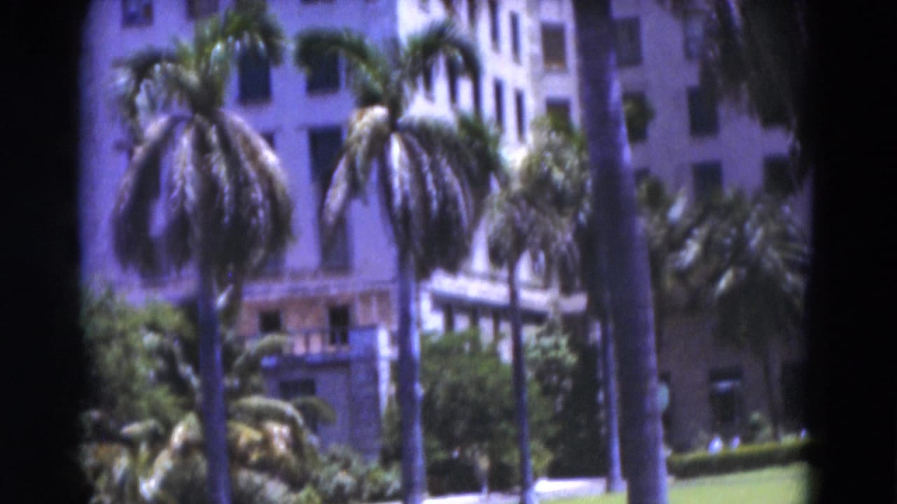White building and palms seen through a dark-edged film frame.