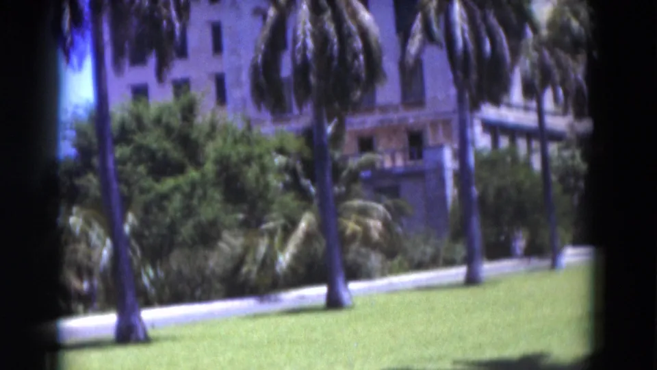 1975 Florida home-movie frame with palms, a bright lawn, dense landscaping, and a white building in the background.