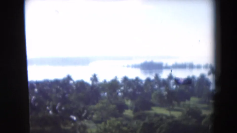 Tropical Florida water landscape with palm trees, green shoreline, hazy water, and distant low islands in 1975 home-movie footage.