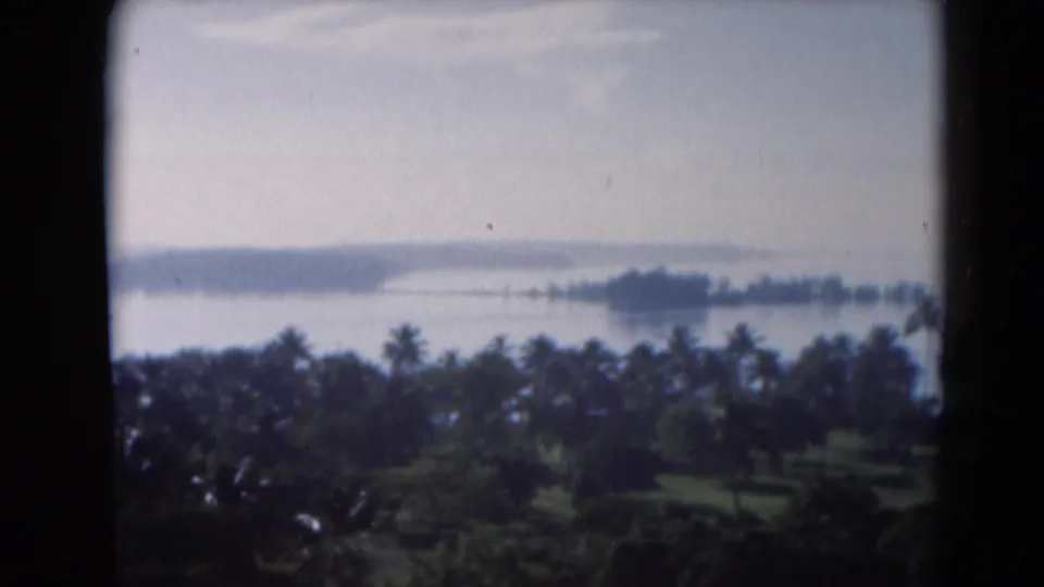 1975 Florida 8mm frame showing a hazy ocean or bay view beyond dense palm trees and distant low land.