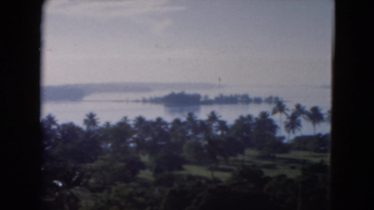Florida home-movie view from 1975 with palms below and a pale waterfront horizon beyond.