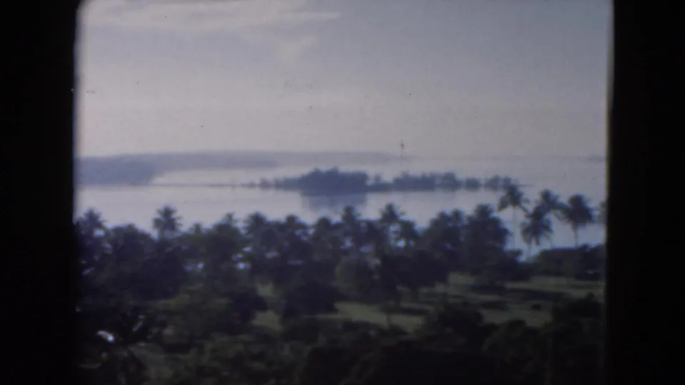 Florida home-movie view from 1975 with palms below and a pale waterfront horizon beyond.