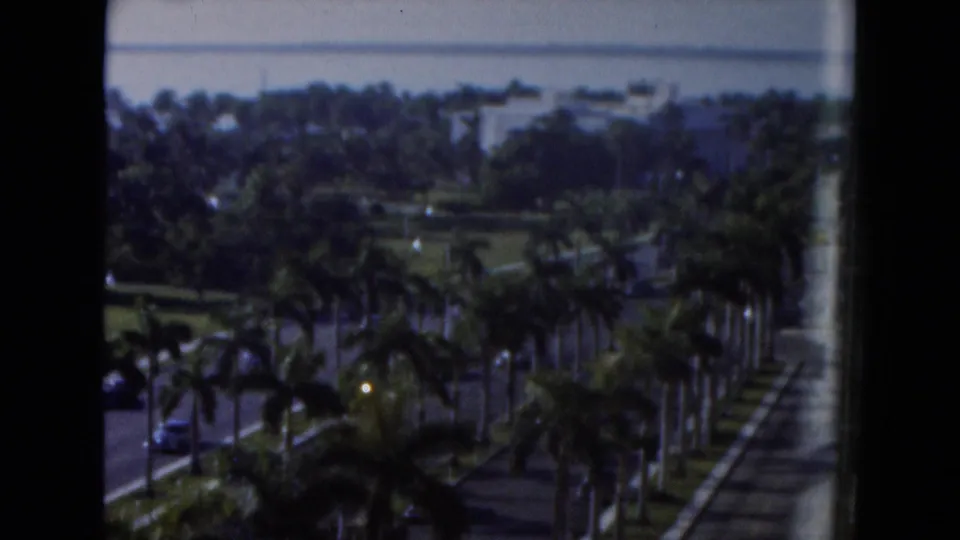 Elevated 1975 Florida view of a palm-lined roadway, moving cars, low buildings, and waterfront in the distance.