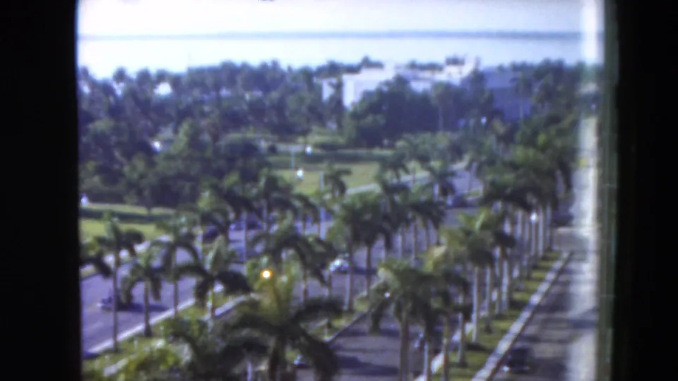1975 Florida 8mm frame looking over palm-lined streets, greenery, light-colored buildings, and a bright waterfront horizon.