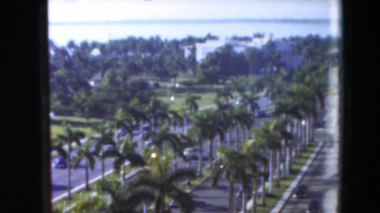 Palm-lined road with cars and green lawns seen from a high window viewpoint.