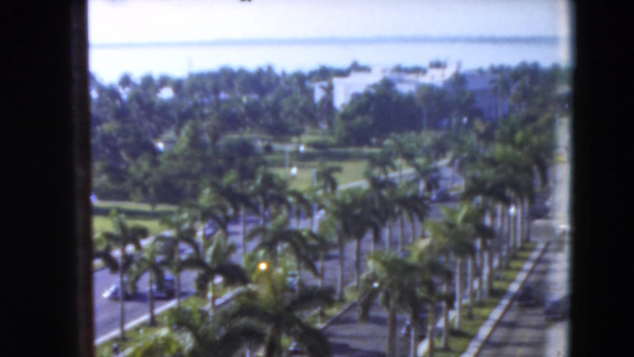 1975 Florida home-movie frame showing tall palms, a landscaped roadside, cars, distant low buildings, and a dark vertical window frame.