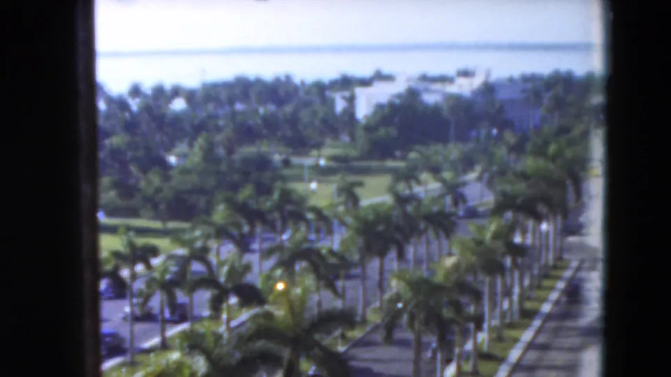 Soft 8mm 1975 Florida view across palms and a sunny road, with cars, lawns, distant buildings, and a pale horizon beyond the trees.