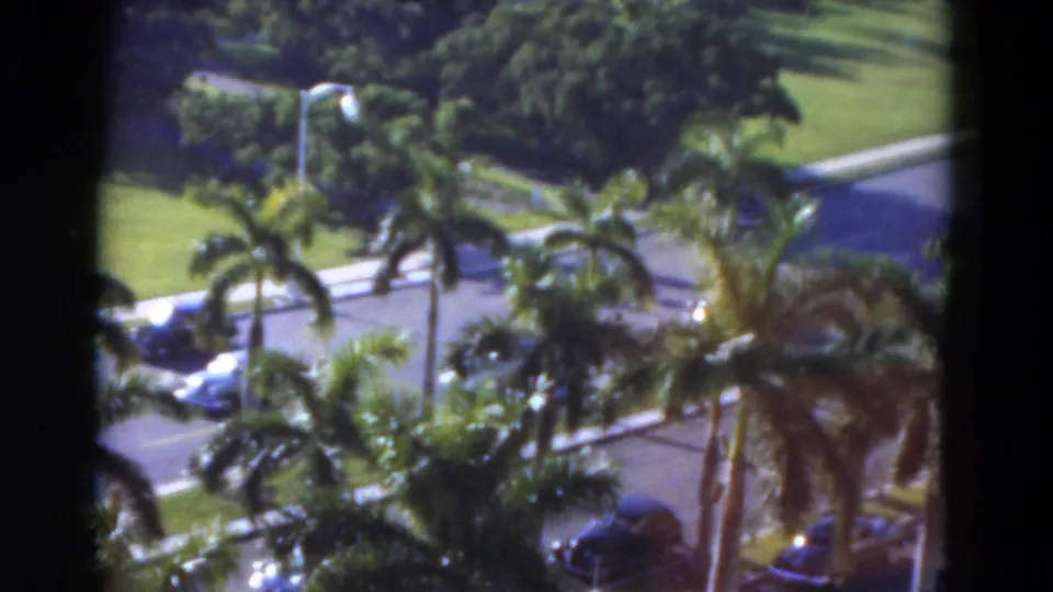 1975 Florida 8mm frame looking down toward palms, parked and moving cars, a curving road edge, lawns, and strong daylight from a high viewpoint.
