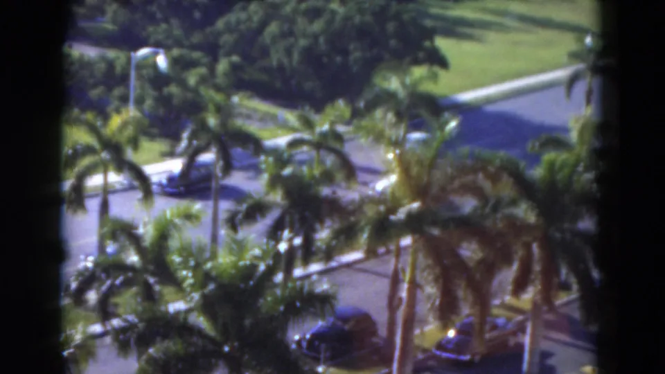 Elevated 1975 Florida view of palms, a curving street, green lawn, and several parked cars partly obscured by foliage.