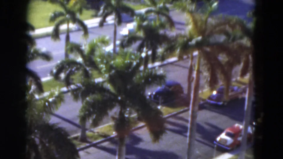 1975 Florida frame with tall palms, a paved parking area, dark parked cars, a red car, lawns, and long afternoon-like shadows.